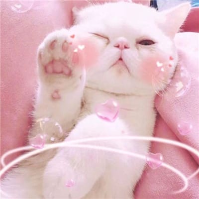 Bretman Rock's avatar